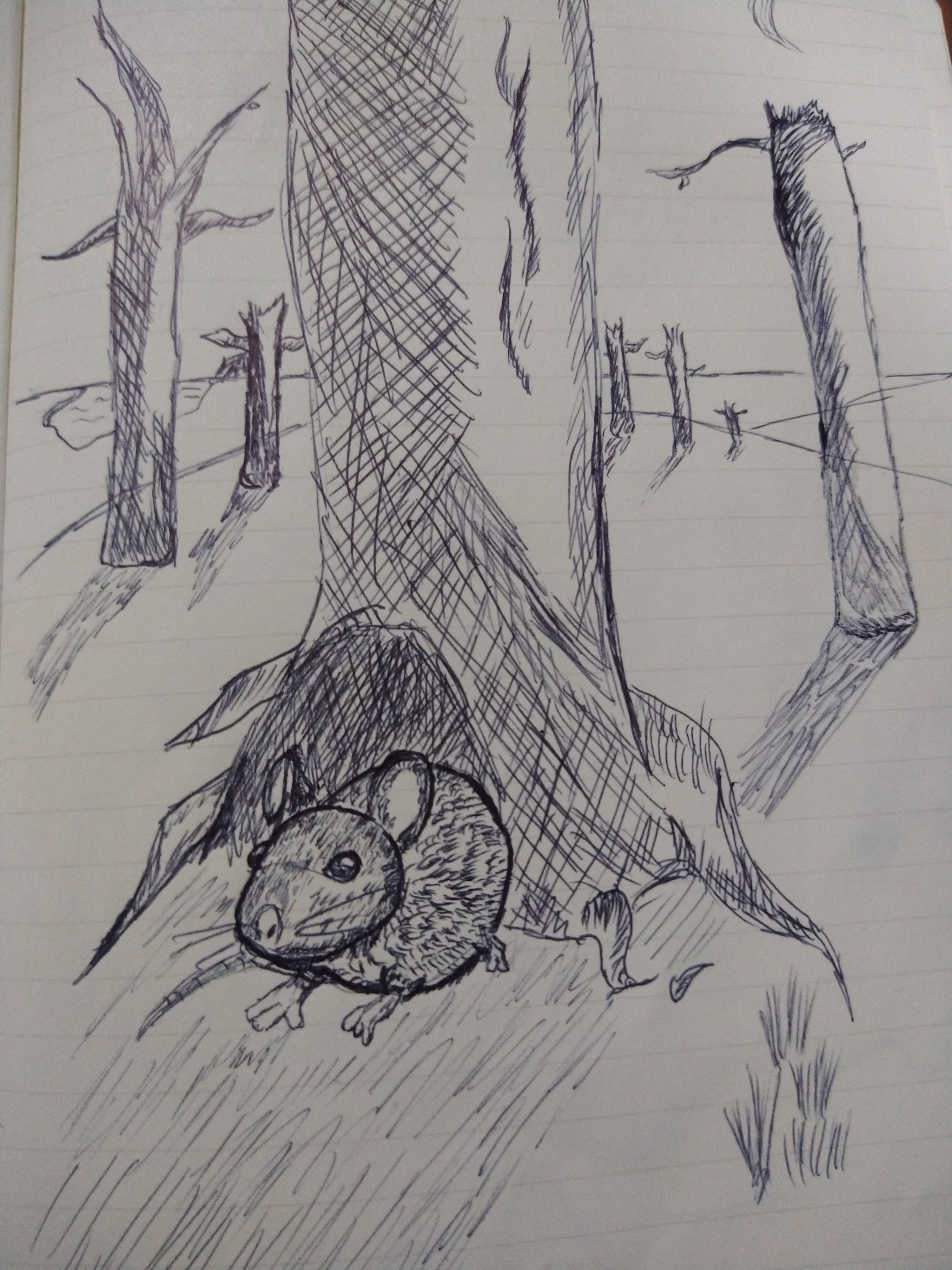 IMG_20201004_182649781