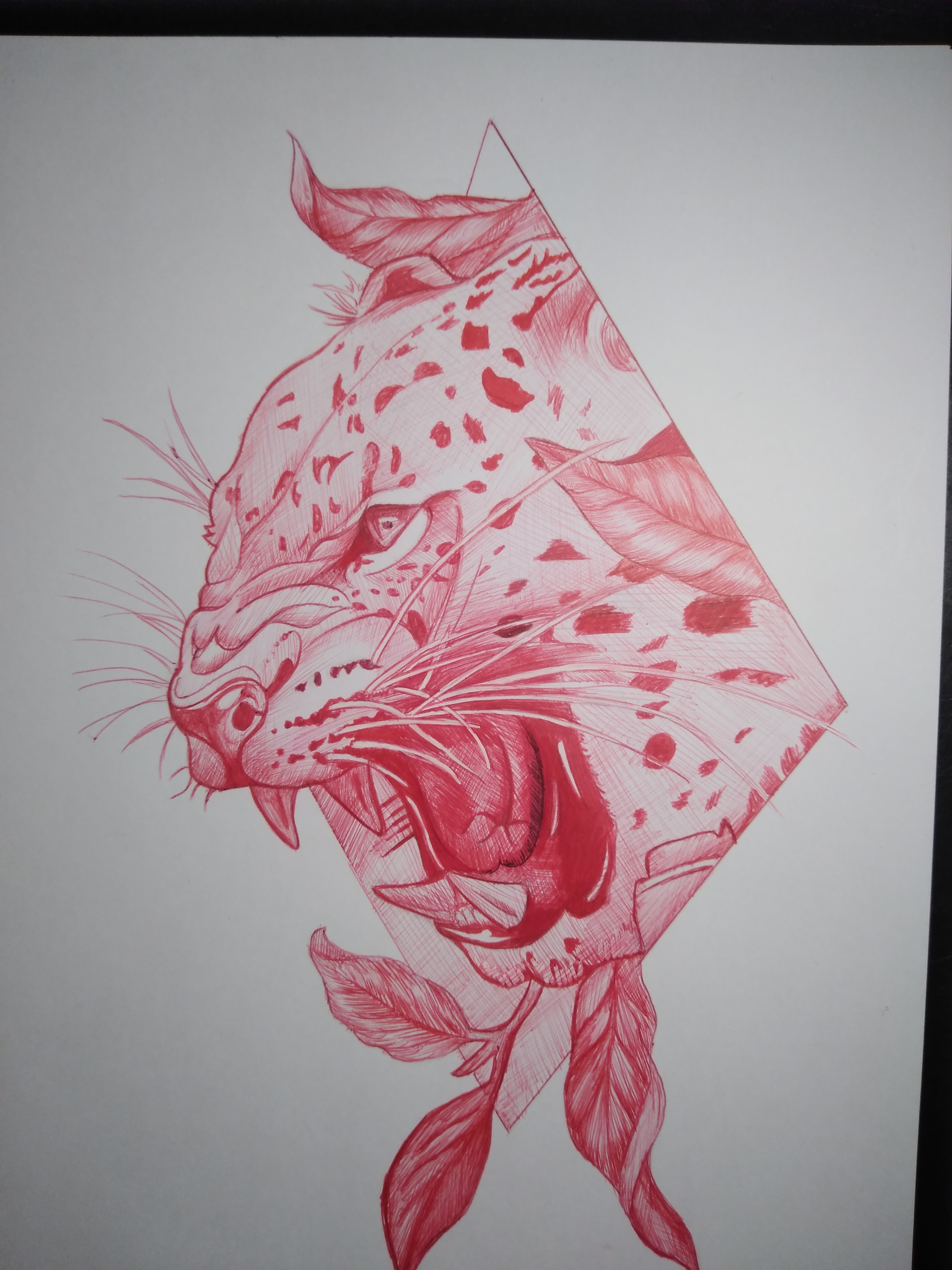 IMG_20201012_223308506