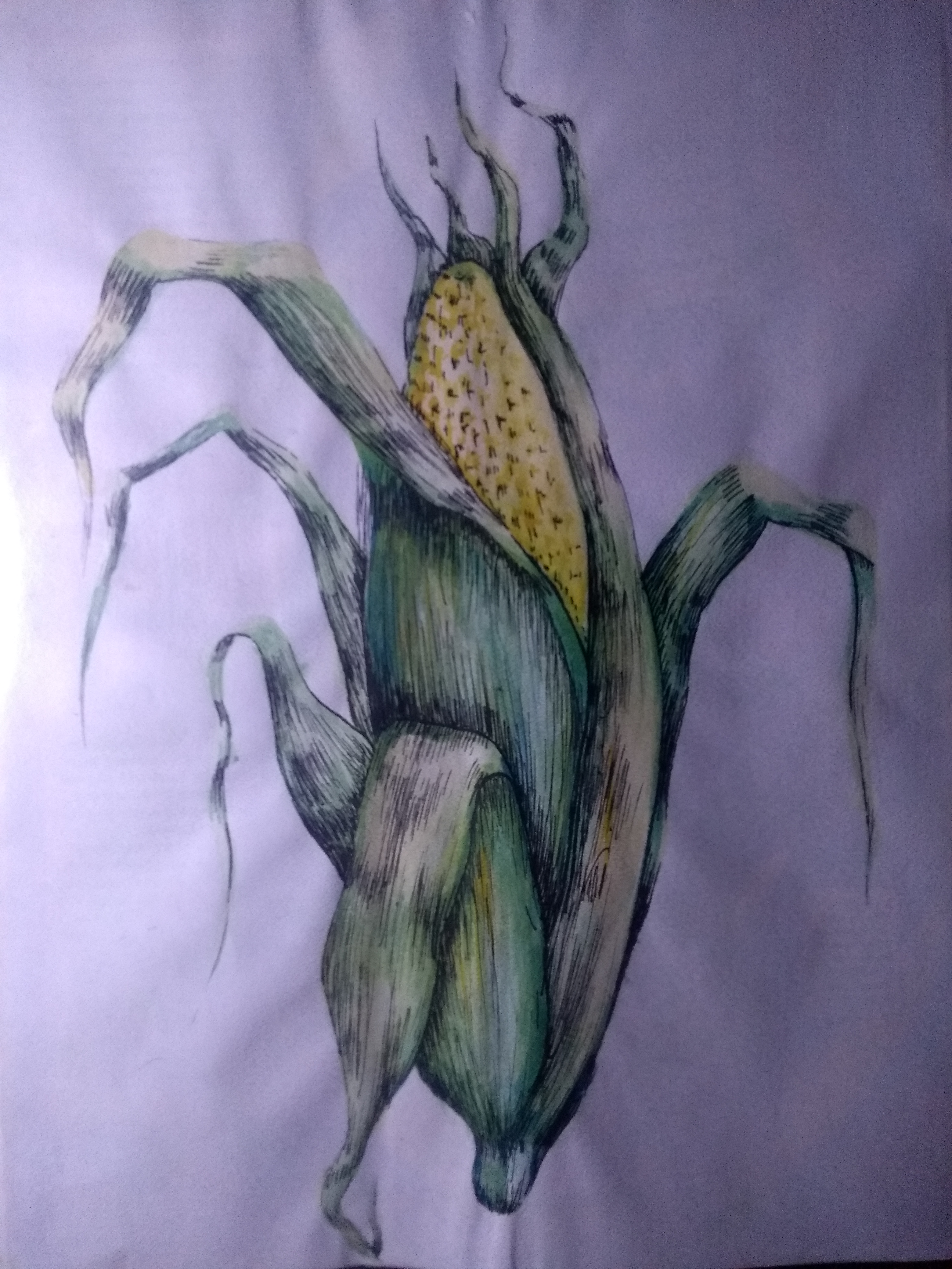 IMG_20201013_213408086