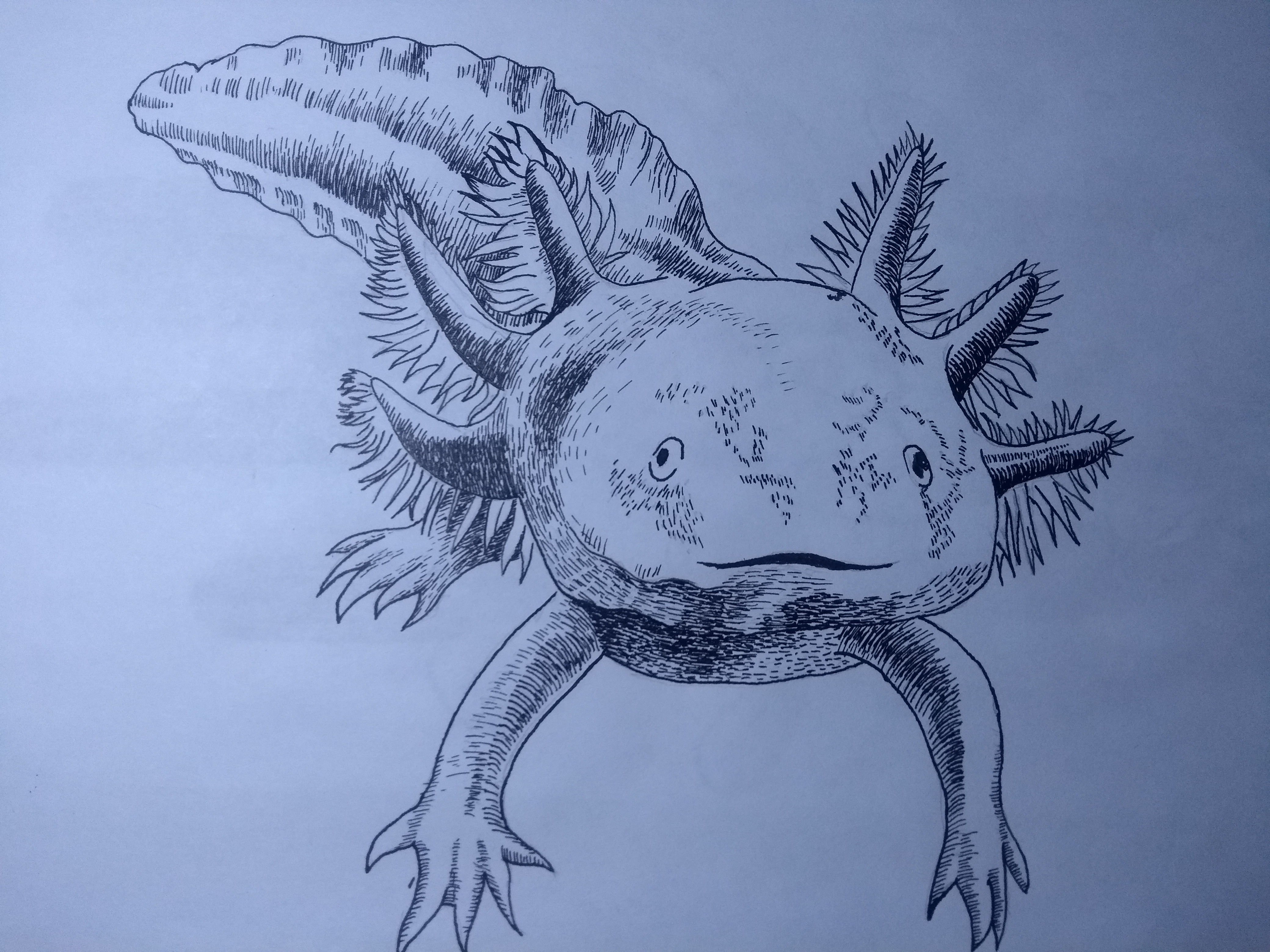 IMG_20201016_203546891