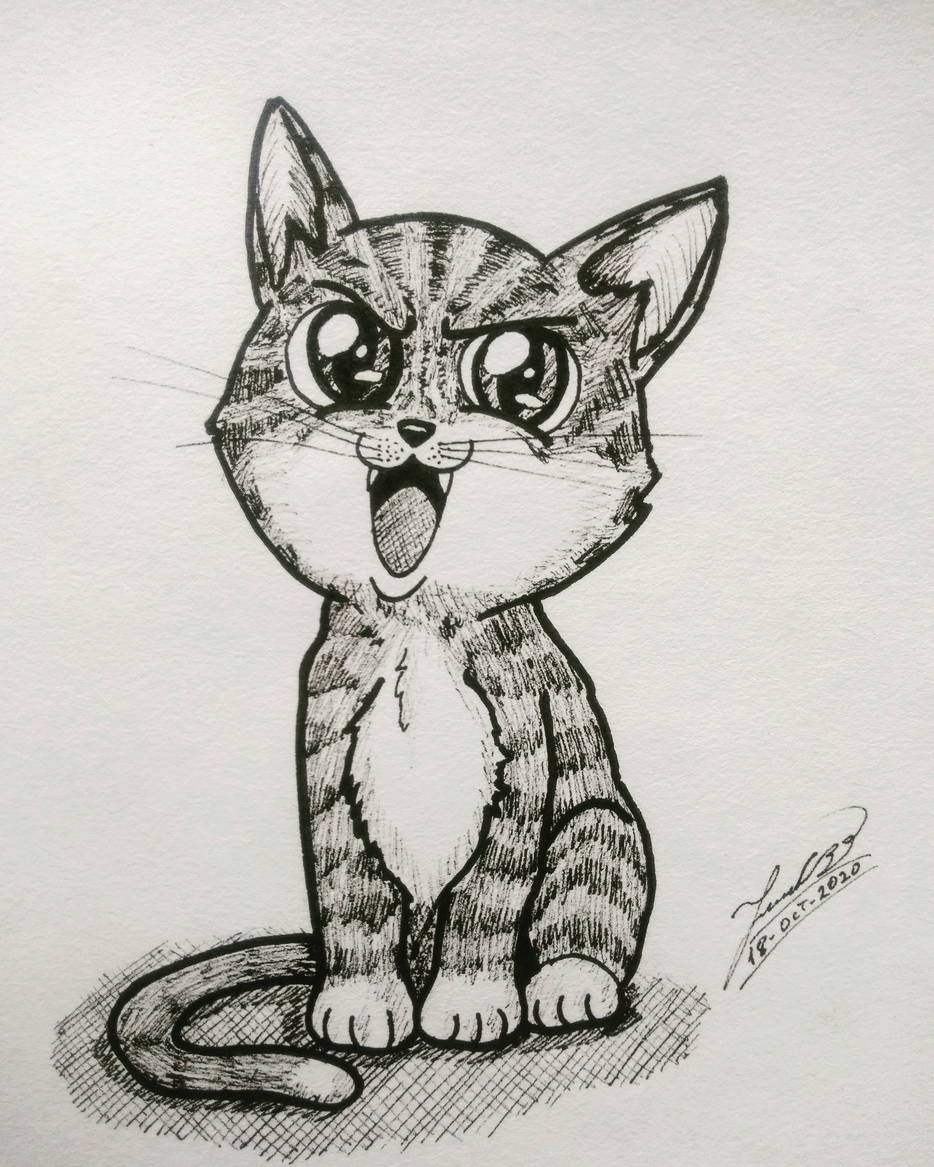 IMG_20201018_164338_366