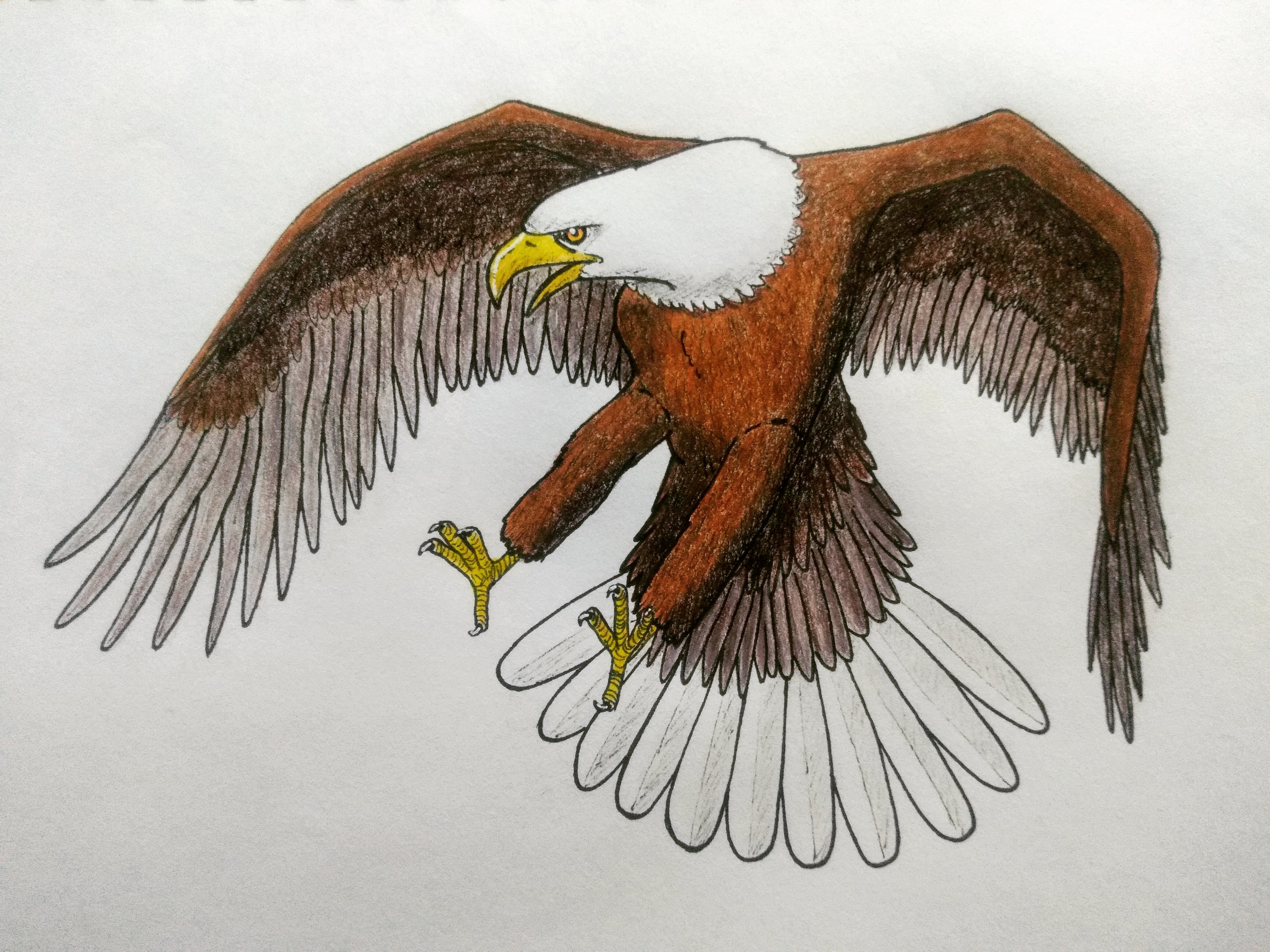 IMG_20201019_211905_494