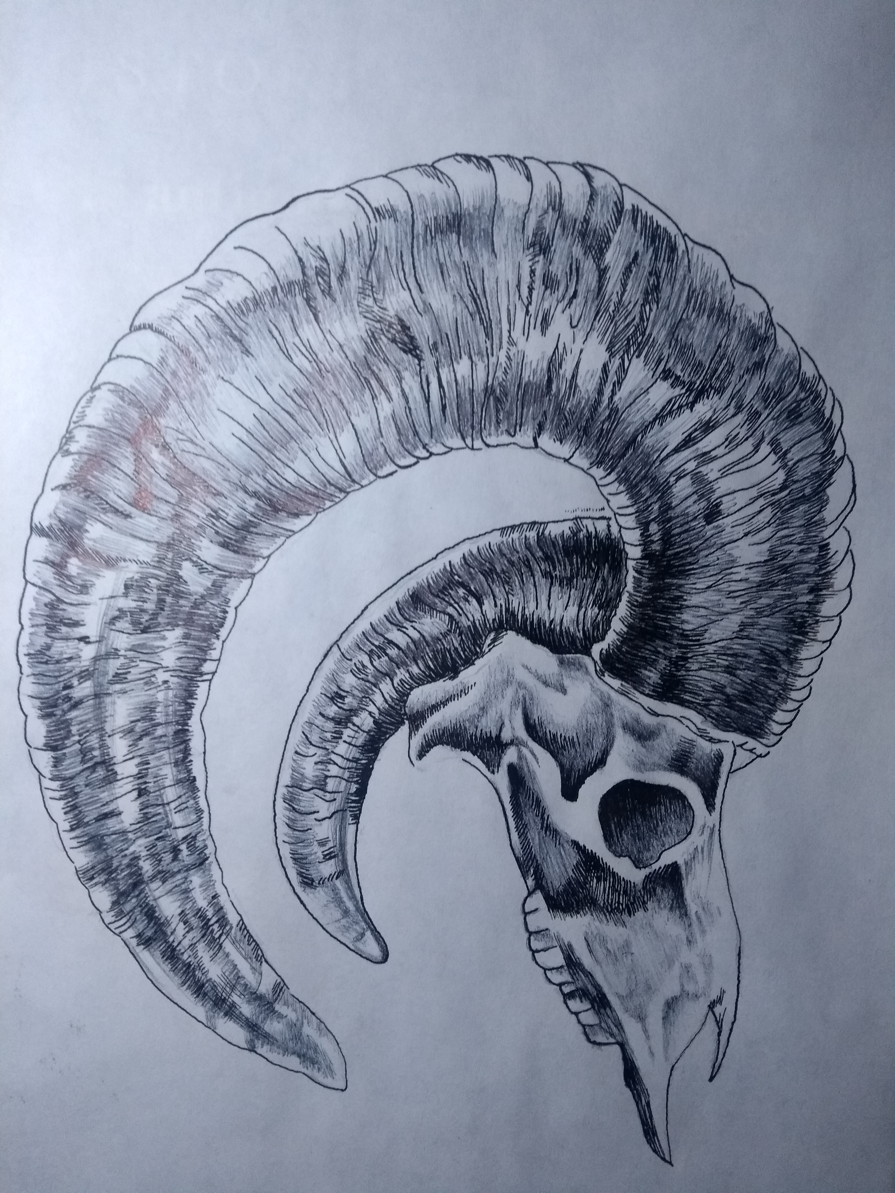 IMG_20201019_213827545