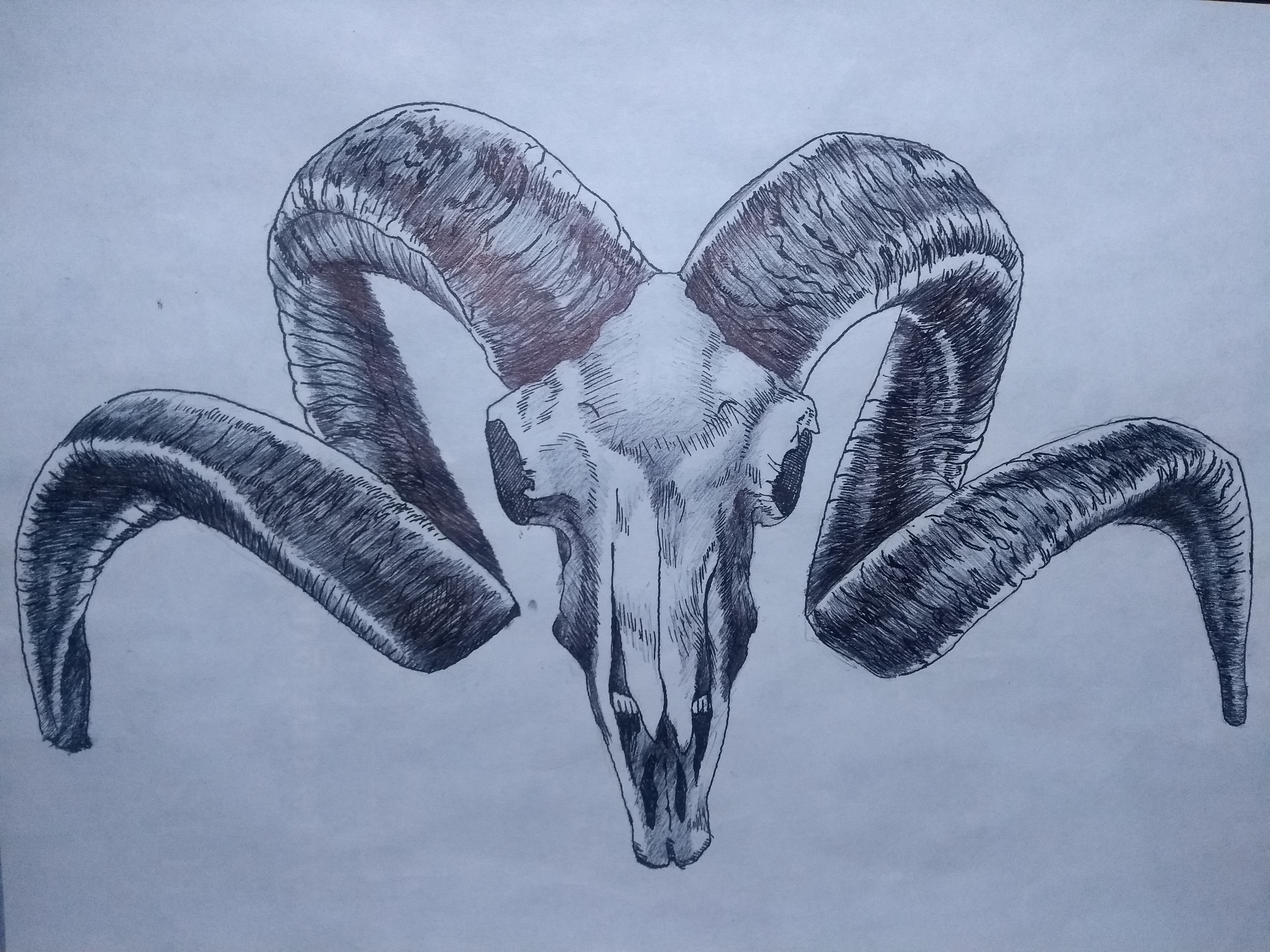 IMG_20201020_220114576