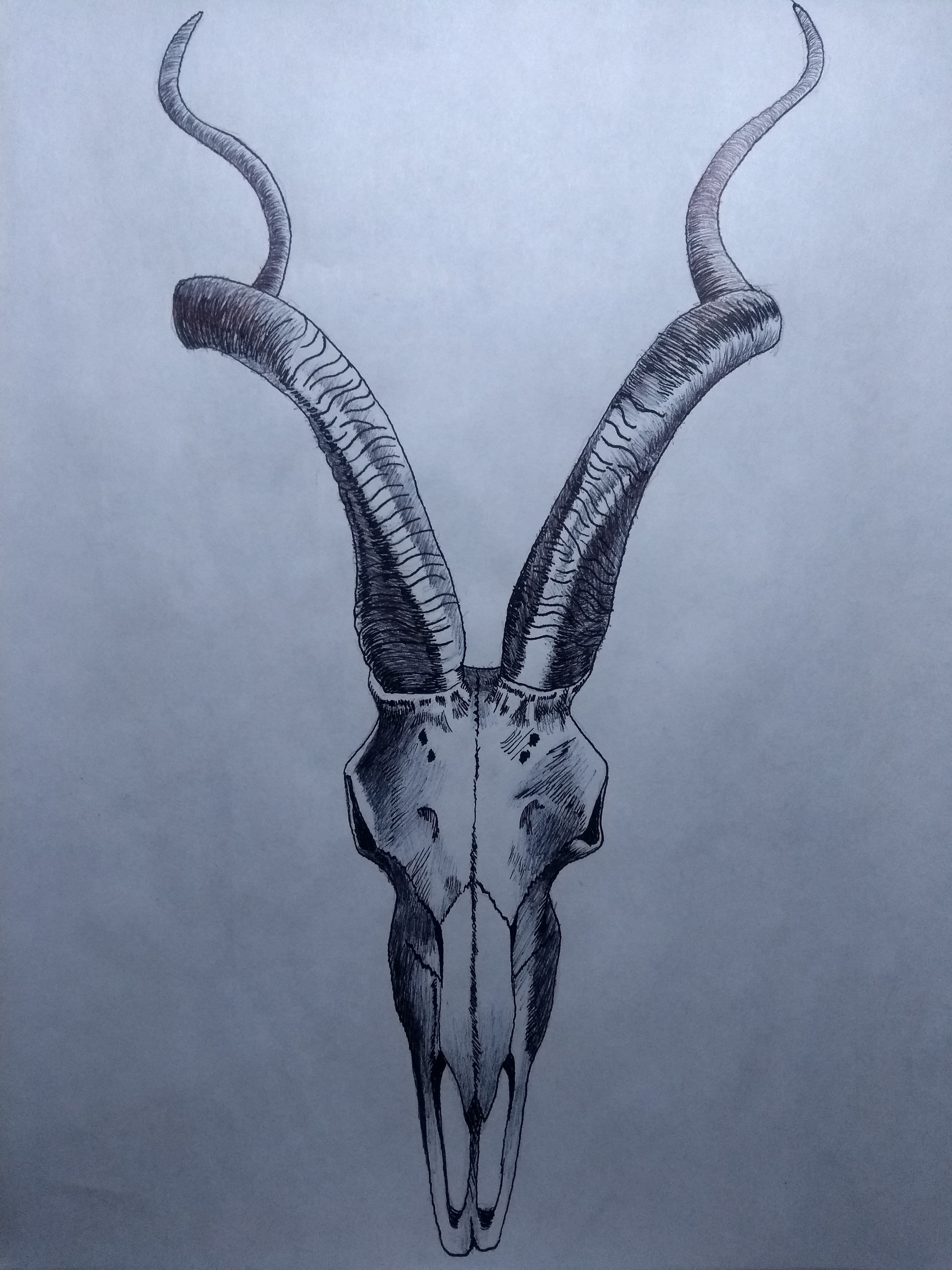 IMG_20201021_174852602