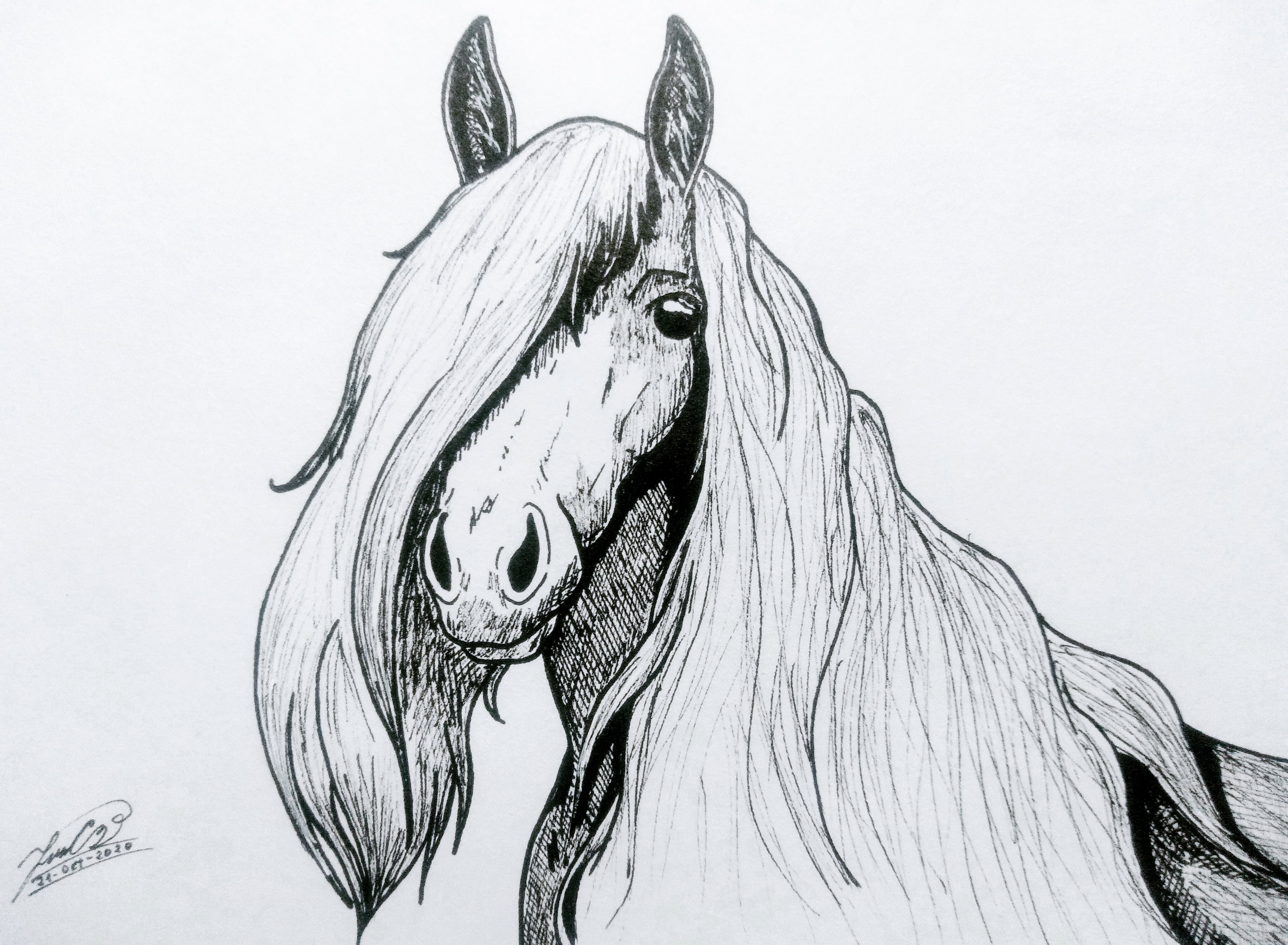 IMG_20201021_202846_077