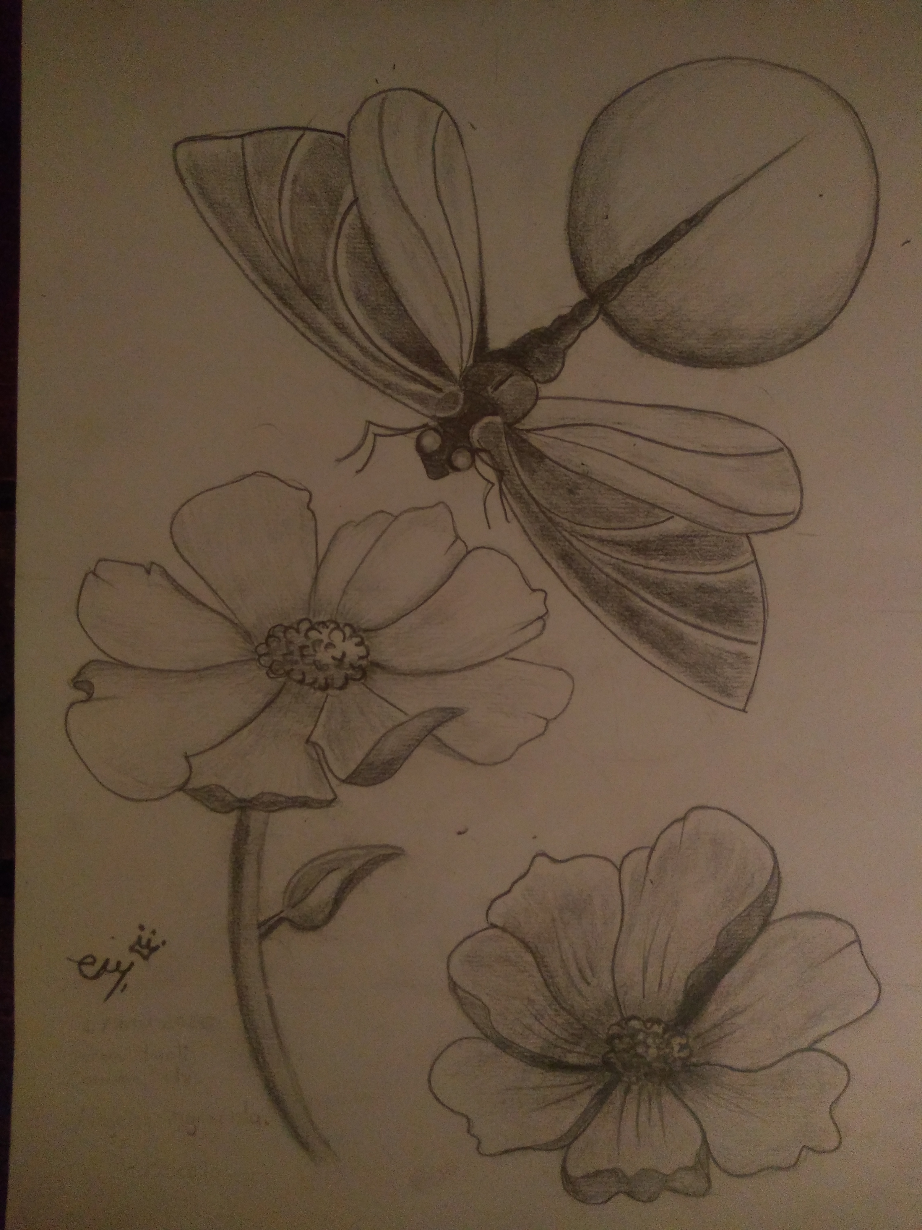 IMG_20201022_193306726