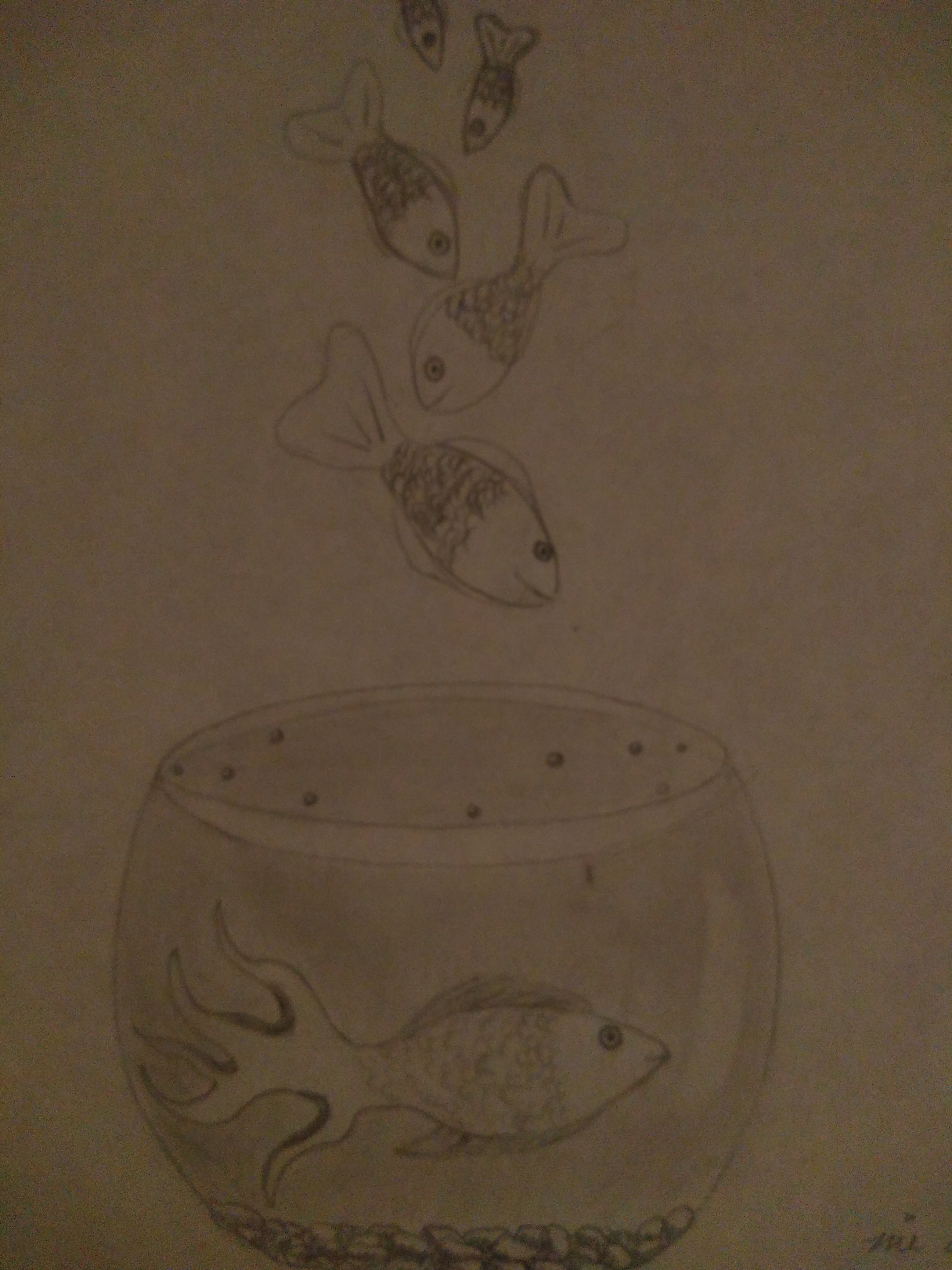 IMG_20201022_193951830