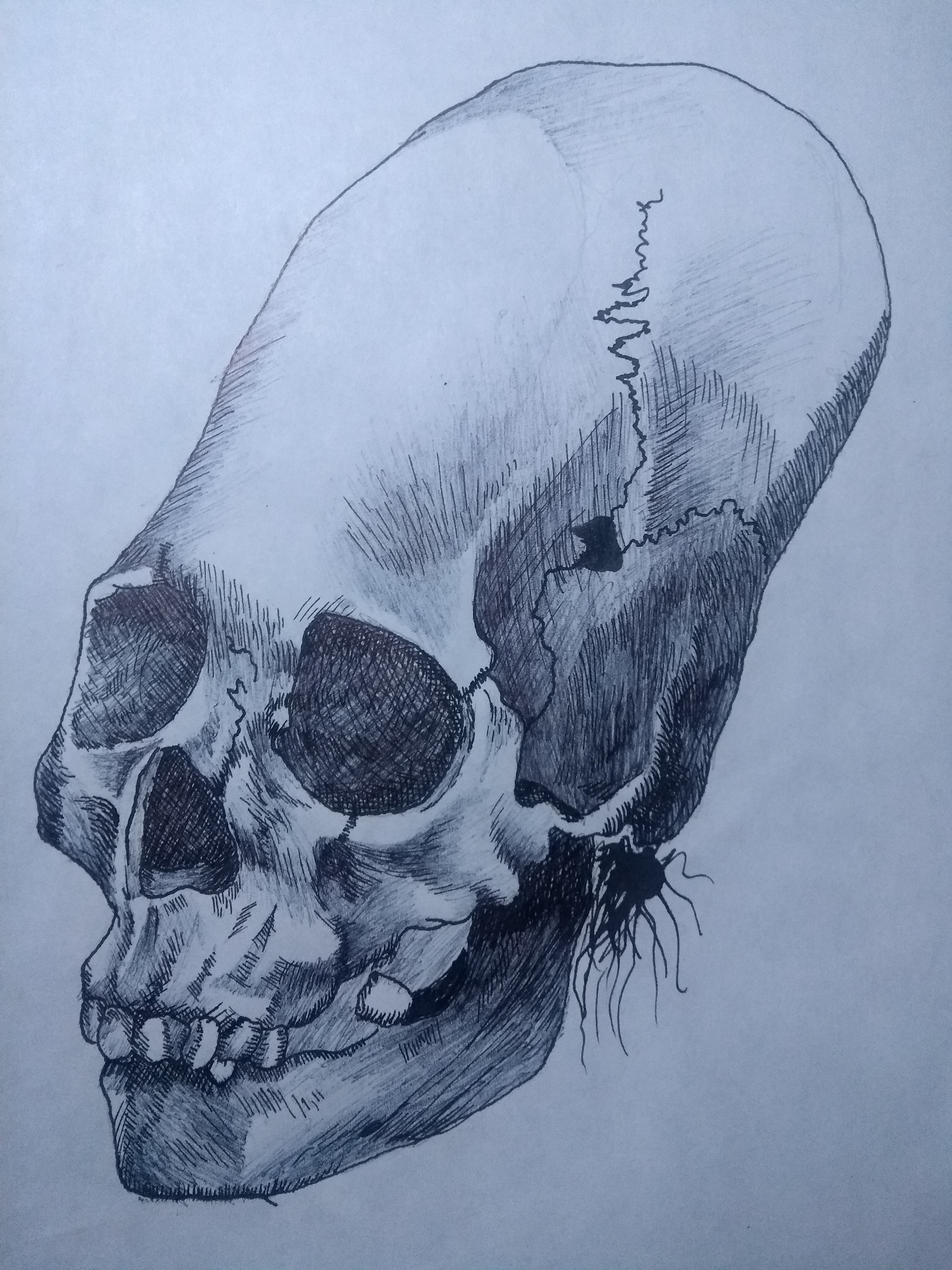 IMG_20201023_183445403