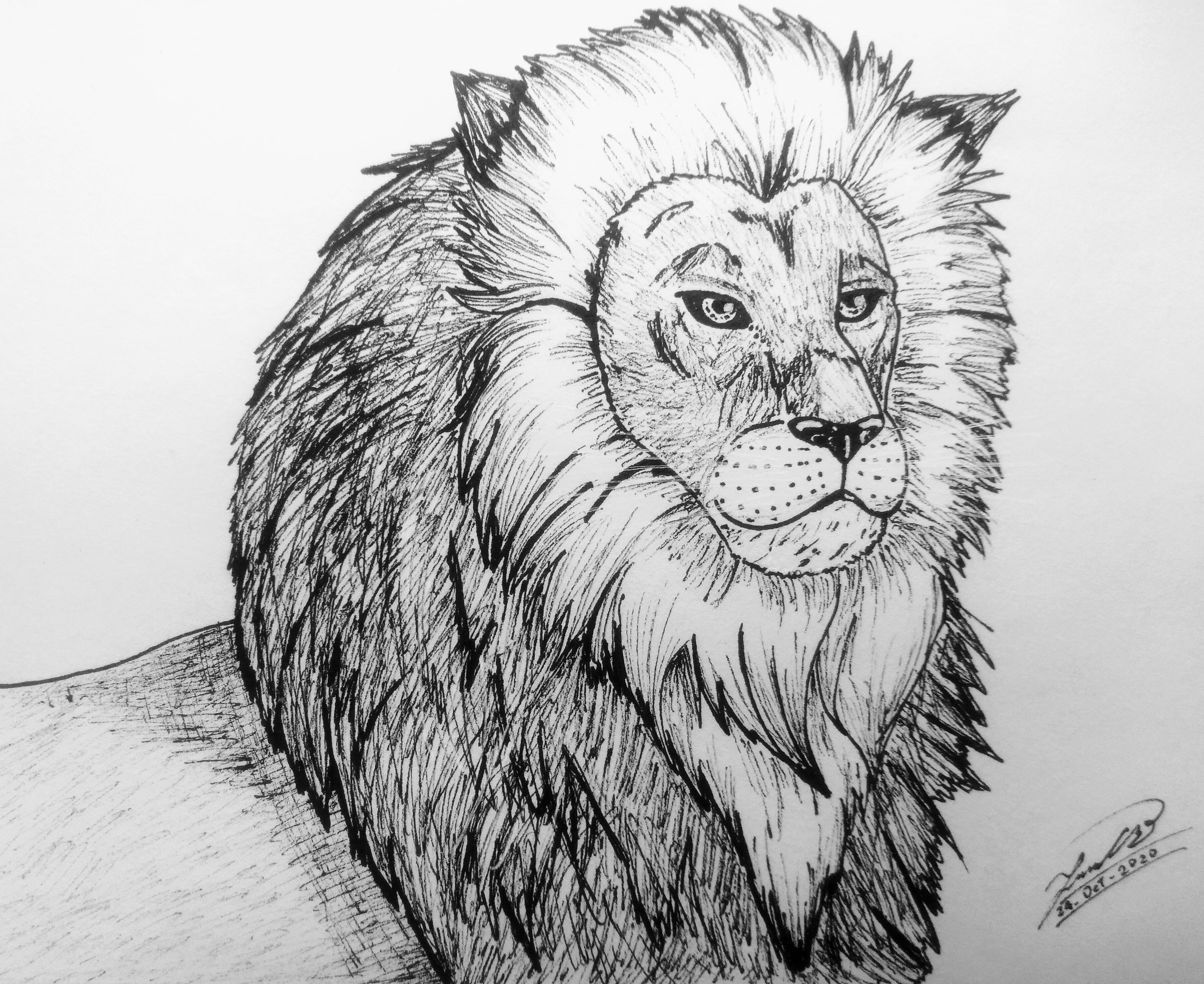 IMG_20201025_075553_244