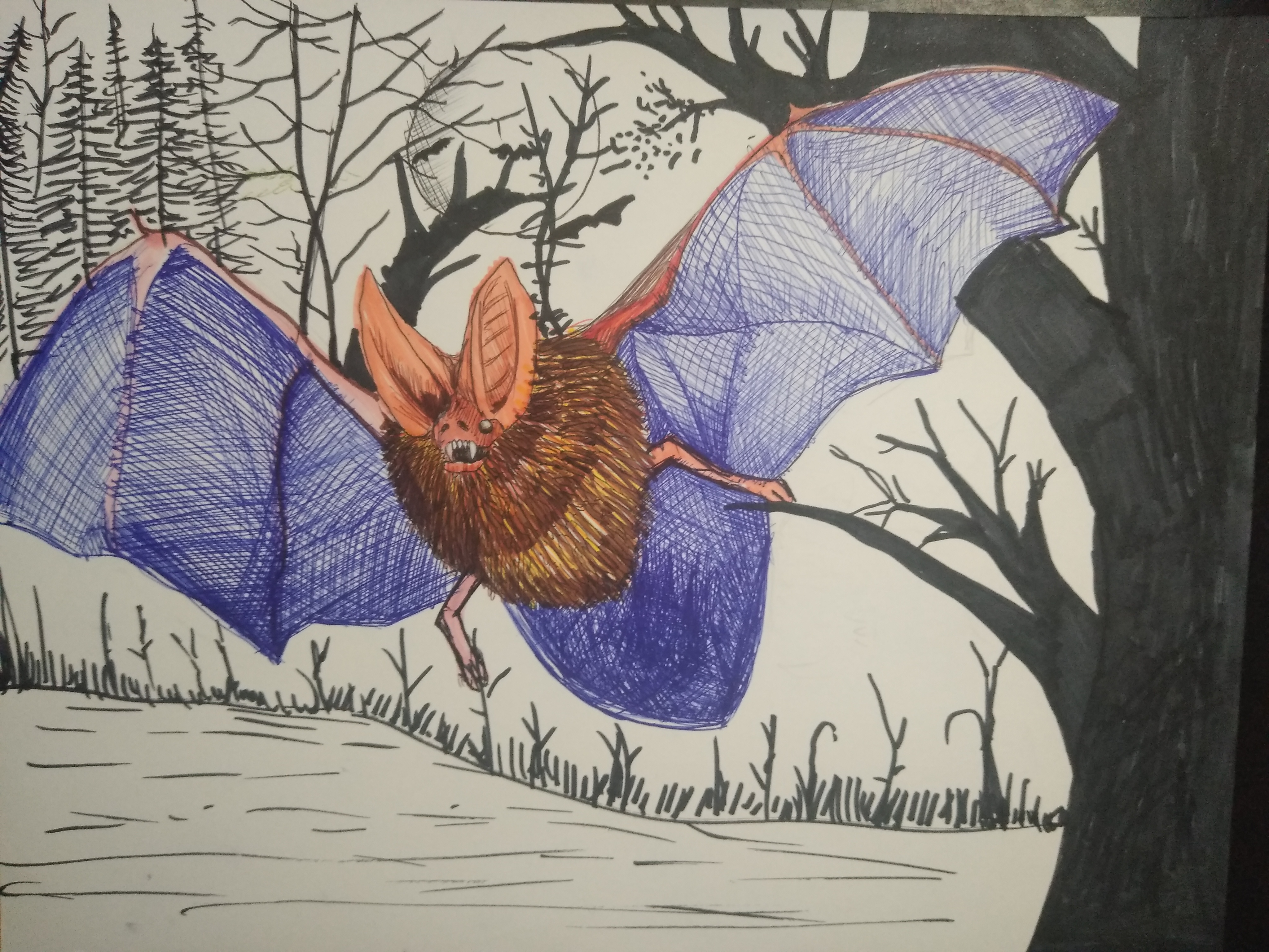 IMG_20201026_224546380