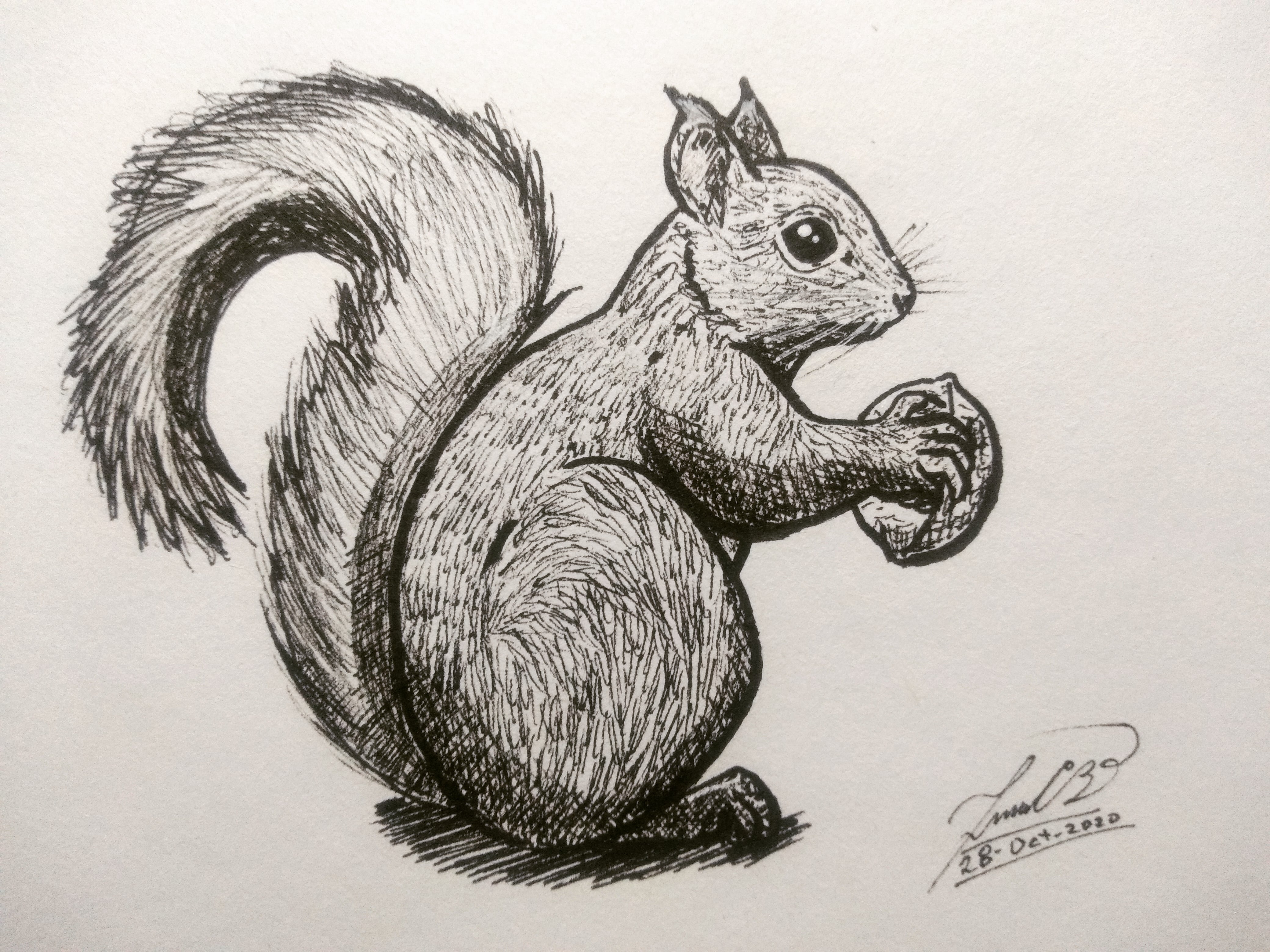 IMG_20201028_193833_191