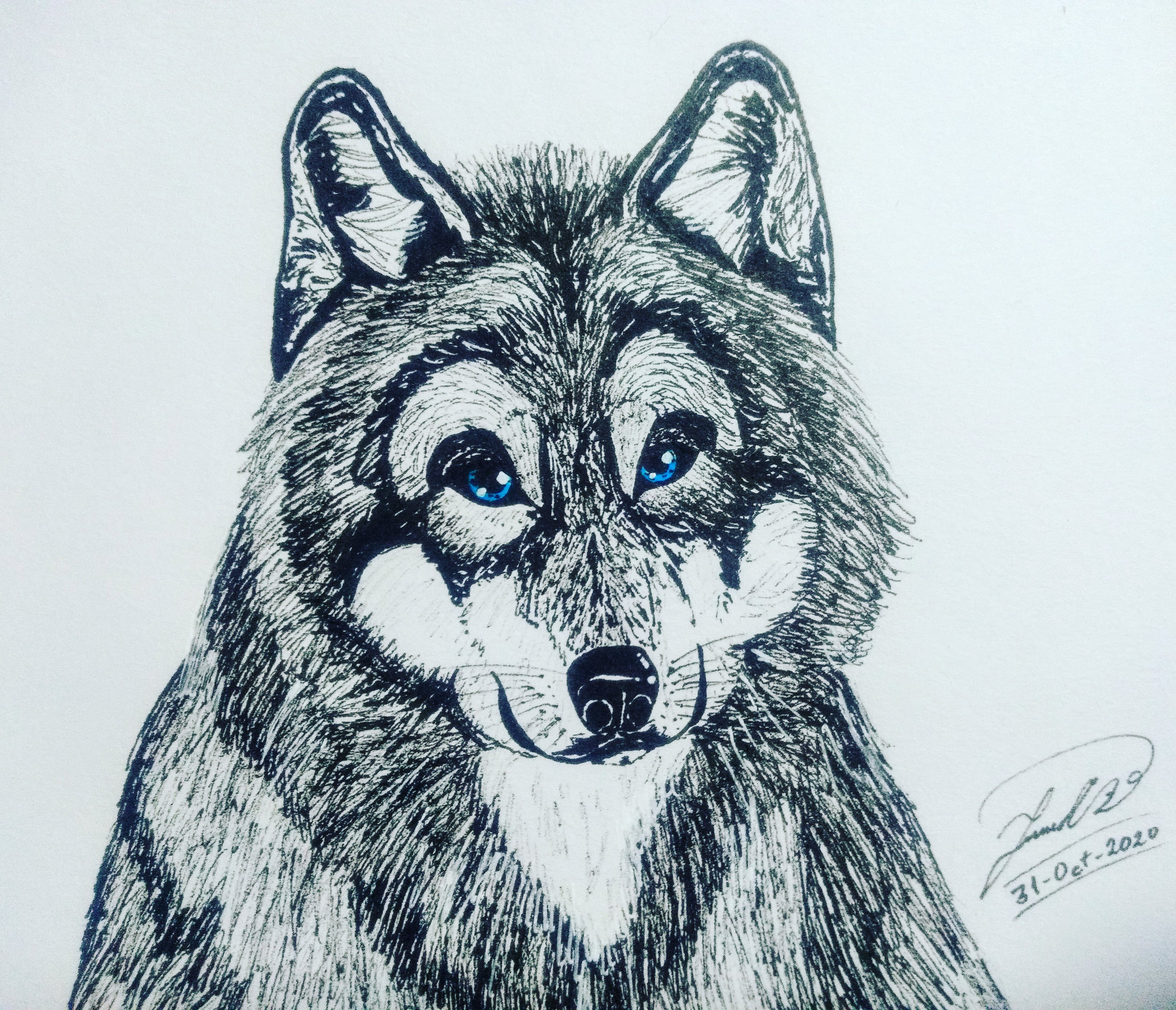 IMG_20201031_171418_042