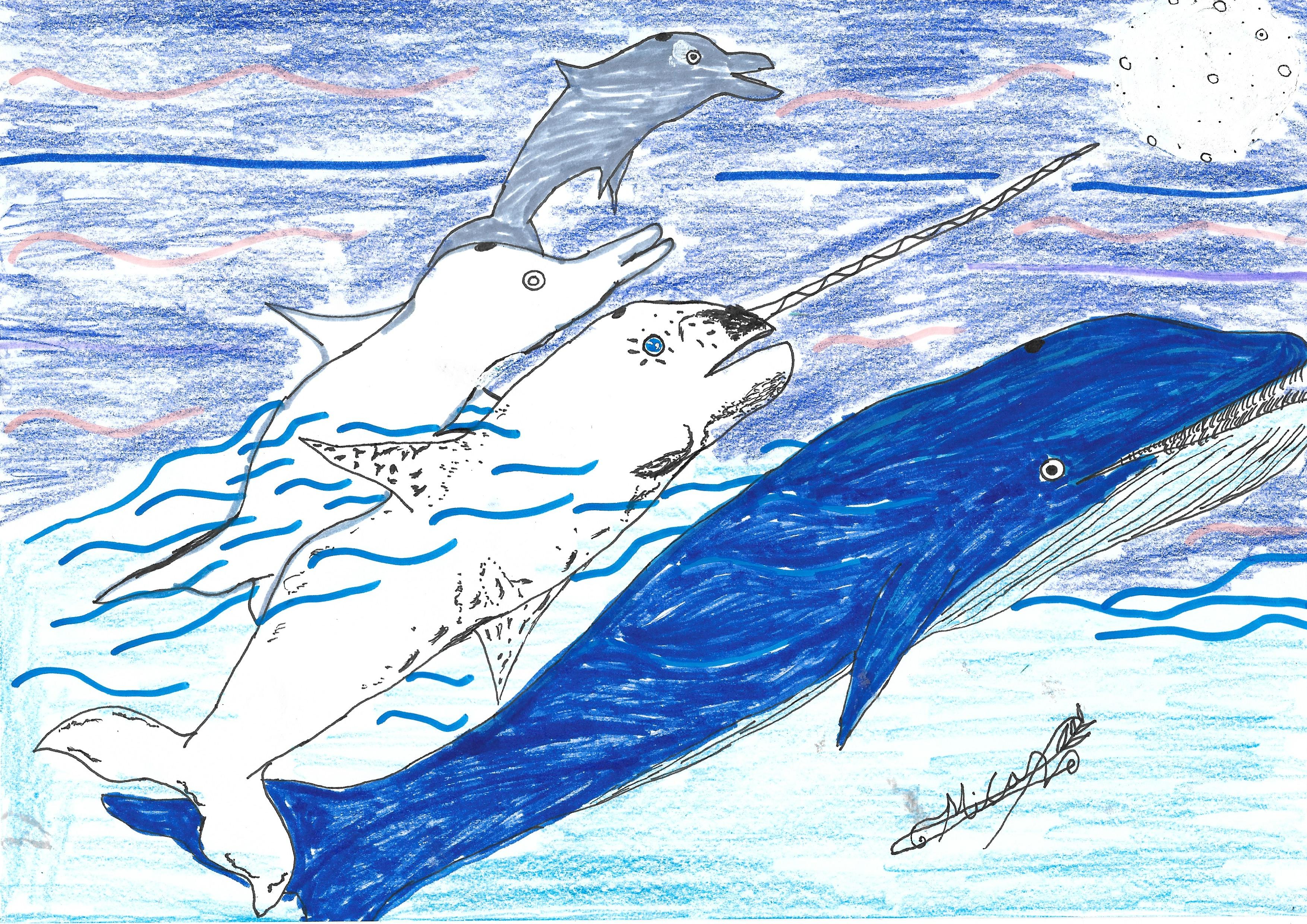 MaravilleuxCetaceuos