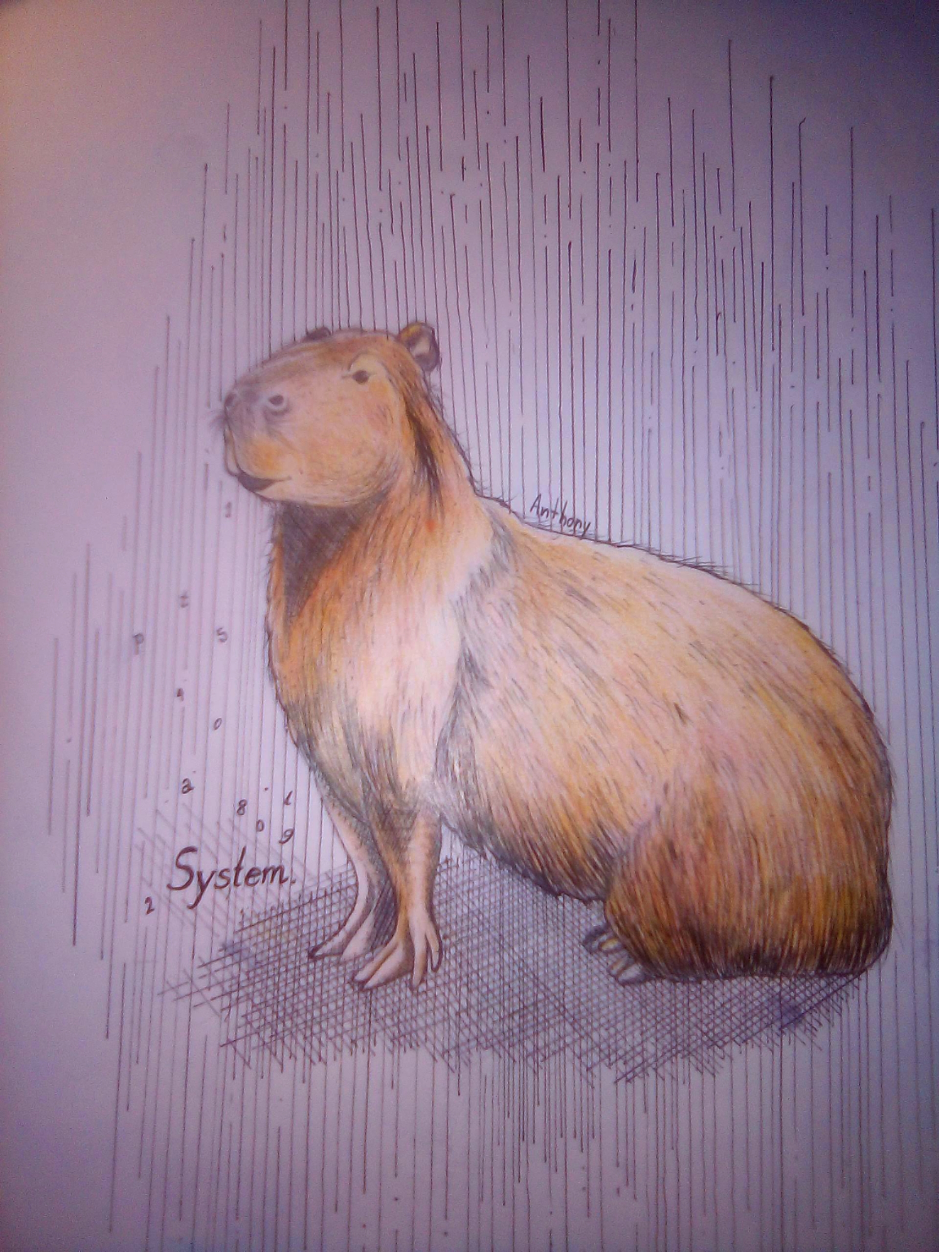 PicsArt_10-31-09_50_56