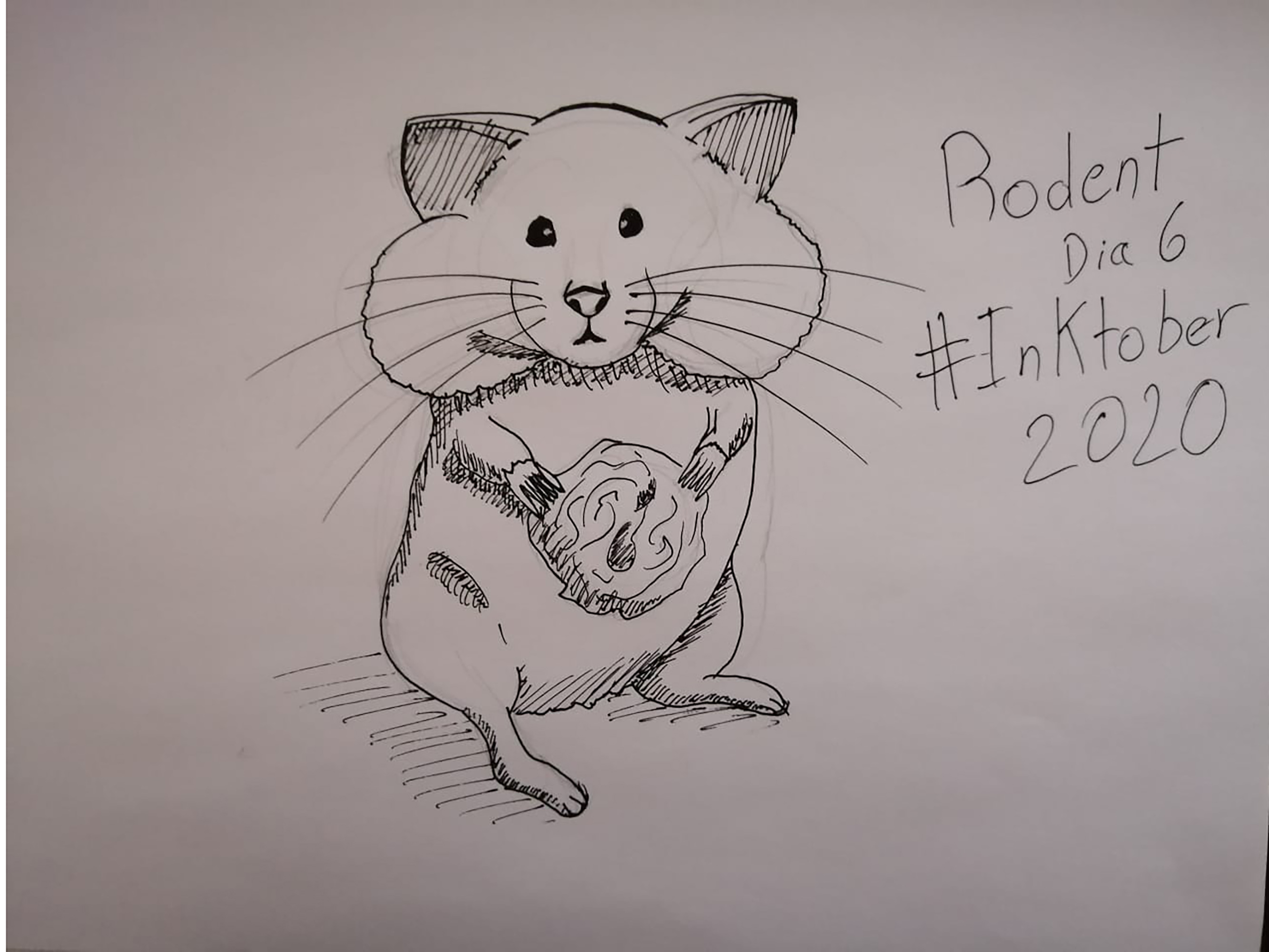 WhatsApp_Image_2020-10-06