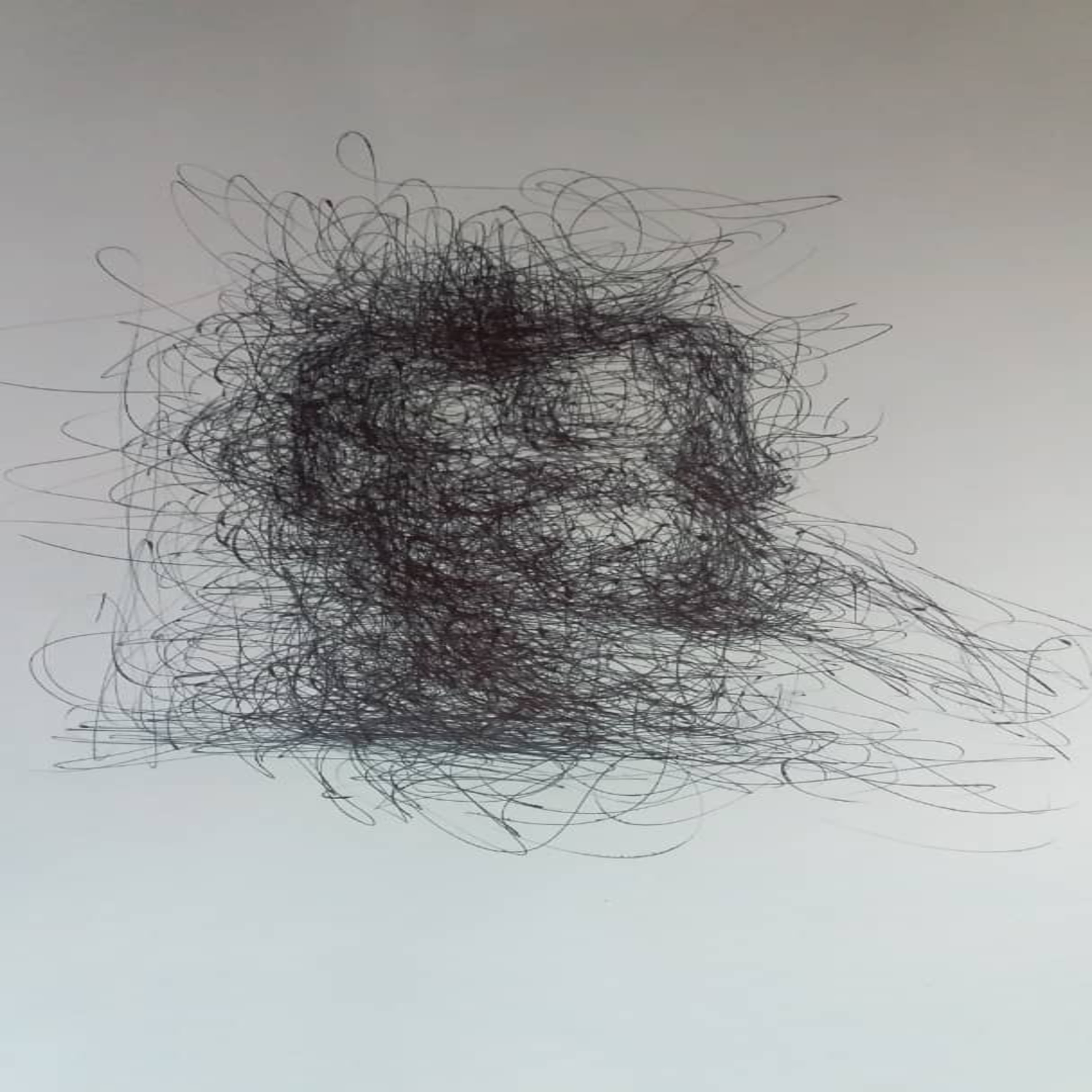 WhatsApp_Image_2020-10-21_