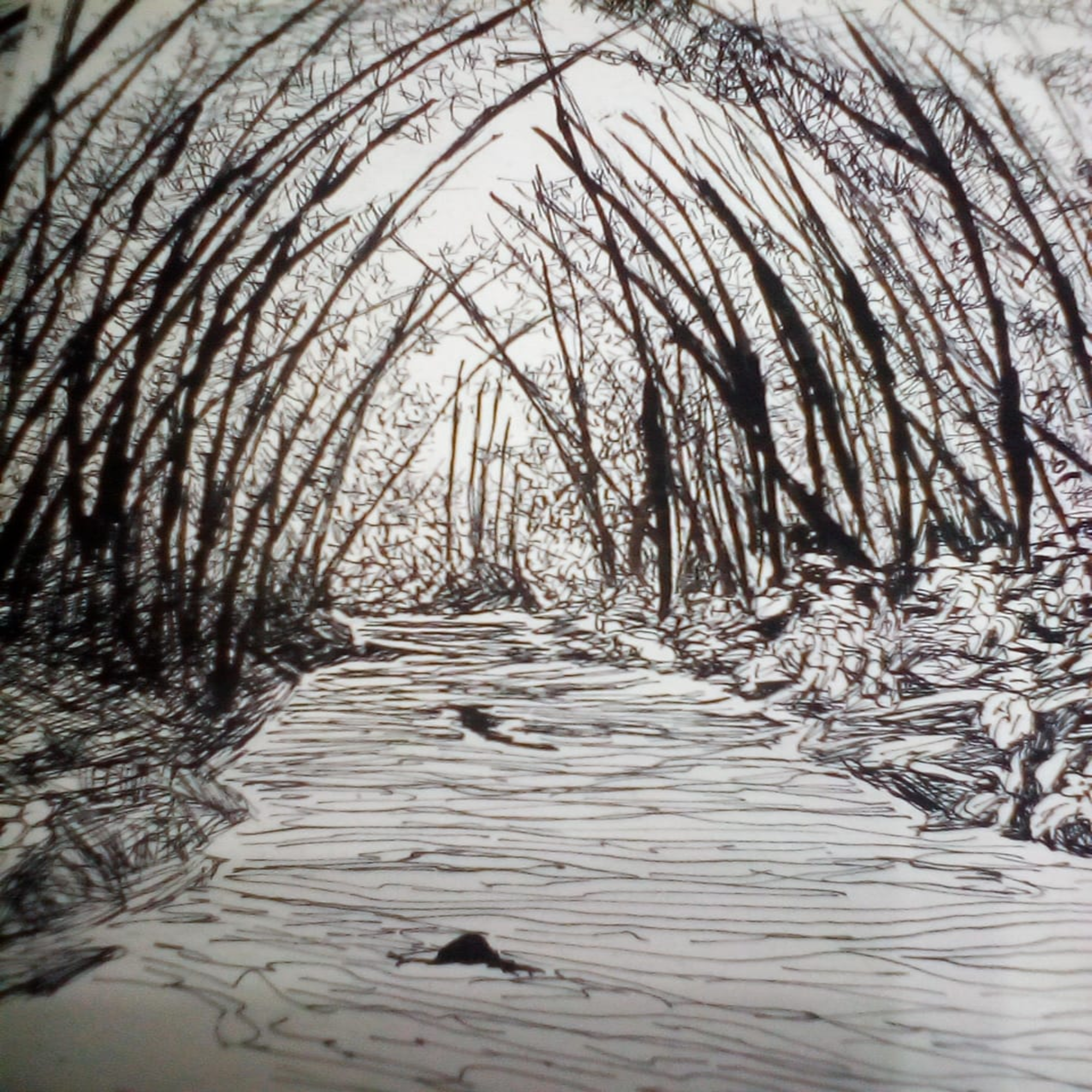 WhatsApp_Image_2020-10-25_