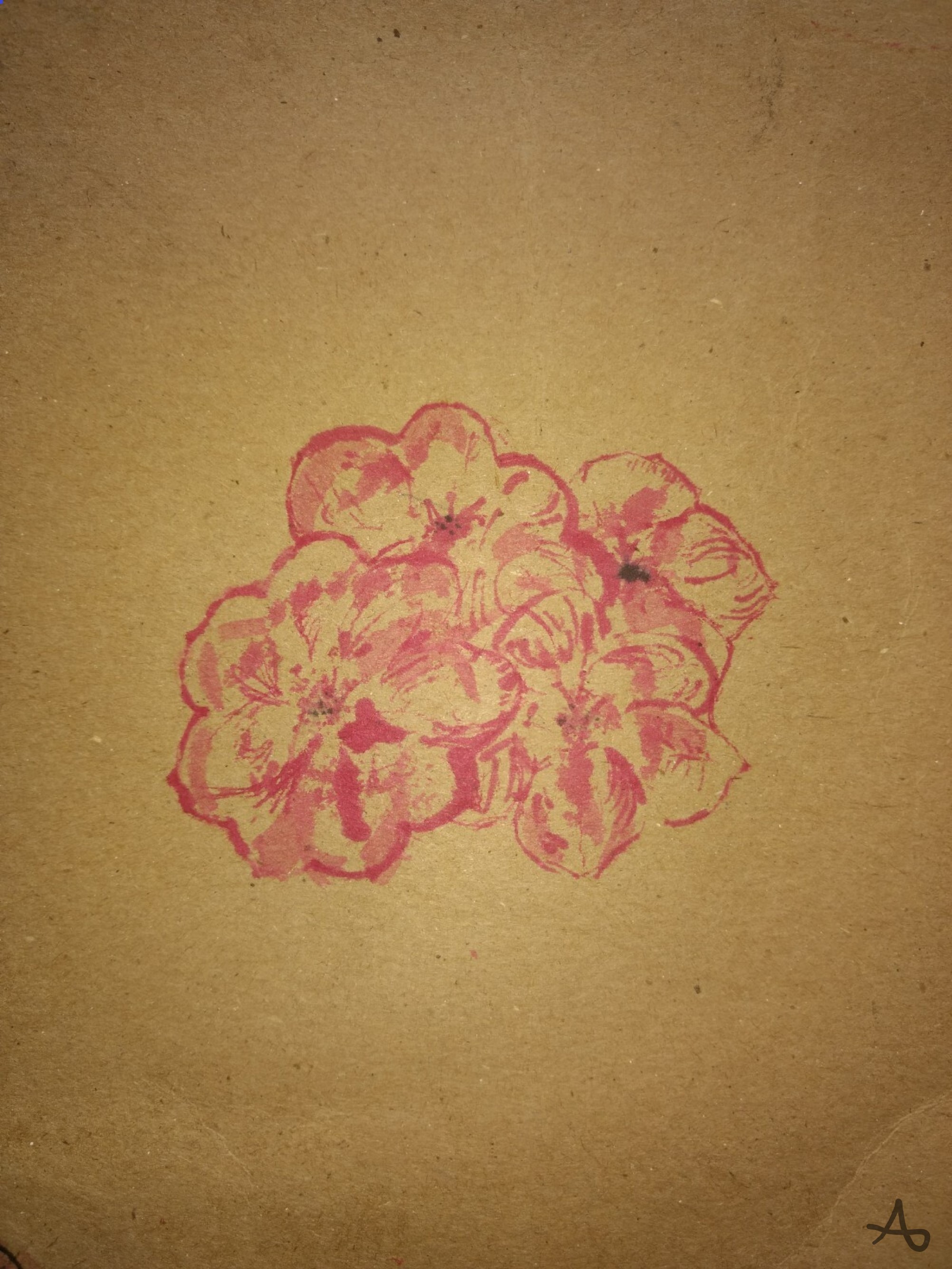 img-20201016-Andrés