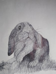 LA LIBERACIÓN DEL ESPÍRITU