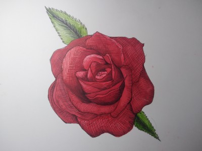 LA ROSA 