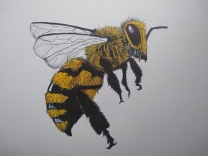 LA ABEJA REINA