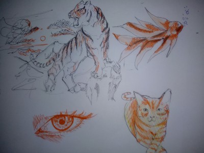 Práctica continua naranja