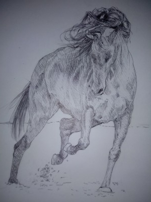 A horse