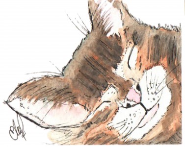 Snuggly Cat