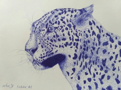 LA BELLEZA DE LO NATURAL