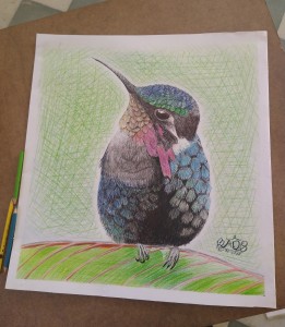 Colibrí una visita inesperada 