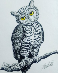 Owl