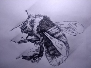 Abeja