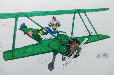 Frankie the flying chicken