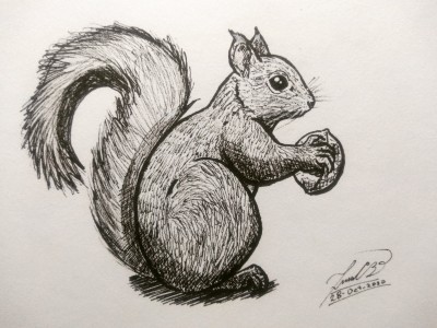 La Ardilla y su nuez