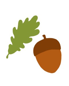 Acorn Oak Leaf