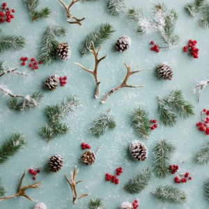 A Festive Display
