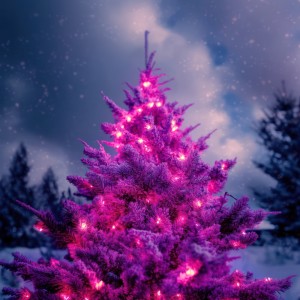 Pink Lit Tree