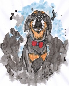 Man's Best Friend