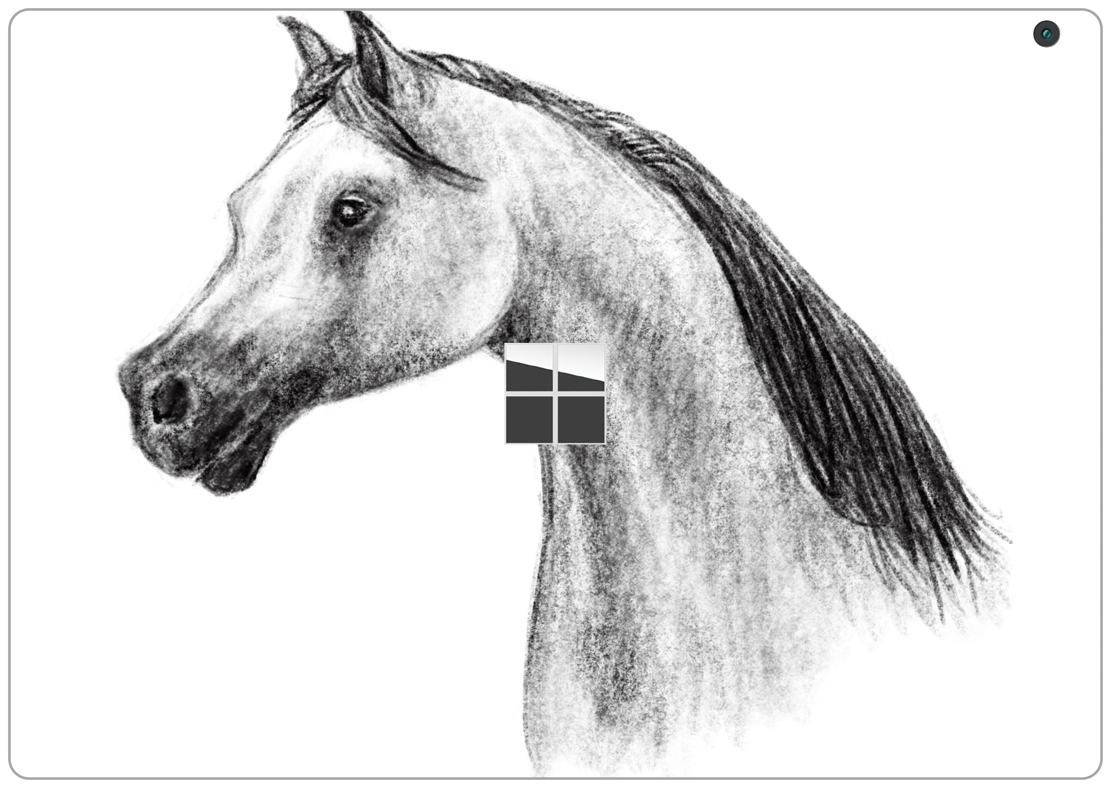 Arabian Horse Head Drawing