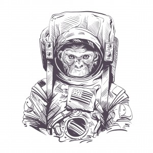 Astronaut Ape