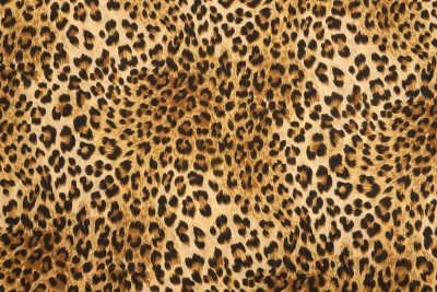 Leopard Print