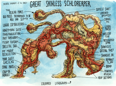 Great Skinless. Schlorerper