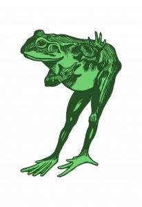 Polite Frog