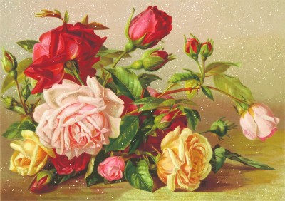 Roses on Display