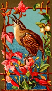 Wren