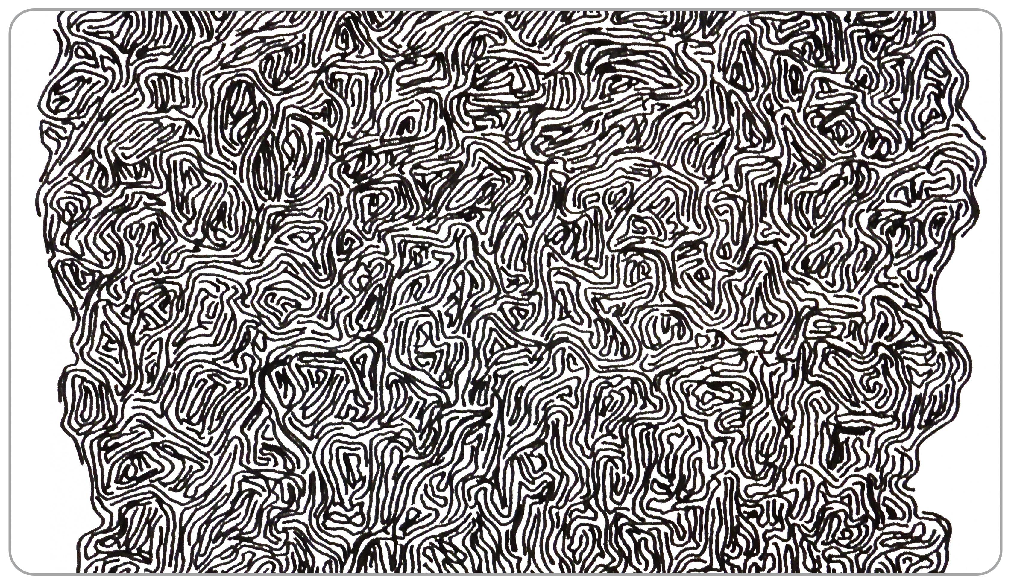 Cabbage Cross Section Shop for a Personalized Hydro Flask® 32 Oz