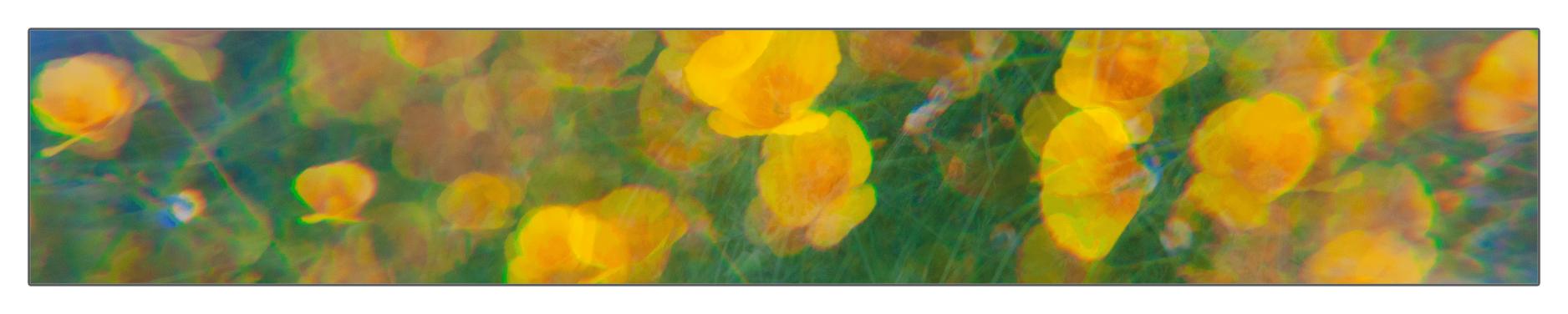 1-x-6-labels-and-strips-landscape-flowers-through-the-rainbow-haze