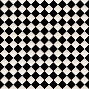 Black and White Checkerboard