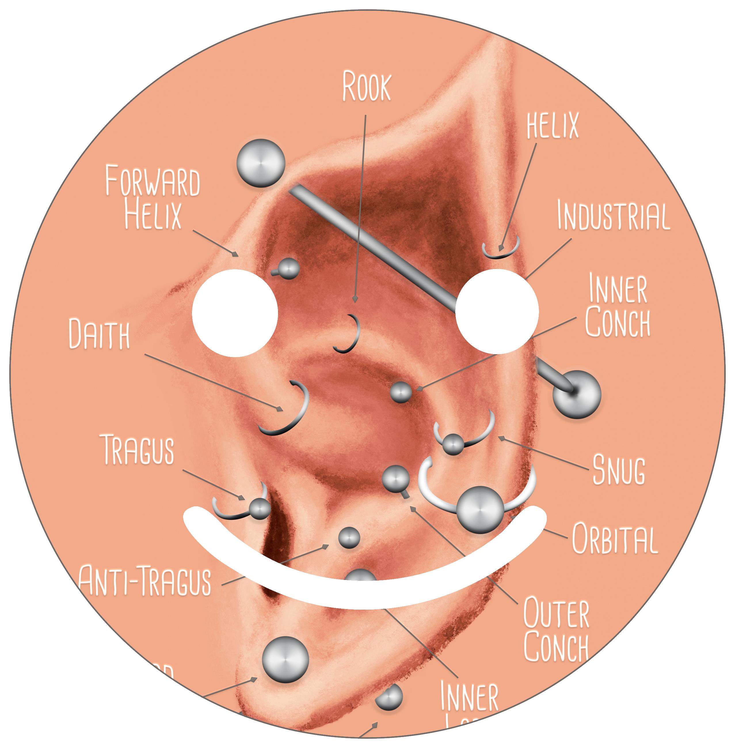 Elven Ear Piercing Chart Shop for a Smiley Face 9" Online APEALZ